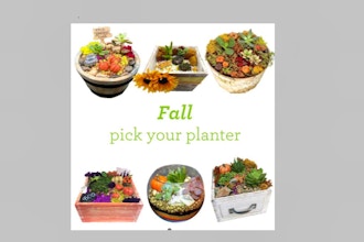 Plant Nite: Fall Pick Your Planter